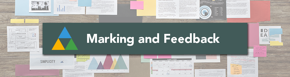 Marking and Feedback